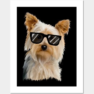 Yorkshire Terrier with sunglasses Posters and Art